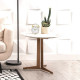 (SALE) NOVA One Leg Side Table SET (SALE) NOVA One Leg Side Table SET